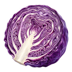 Fototapeta premium Fresh red cabbage half isolated on a simple surface isolated on transparent background