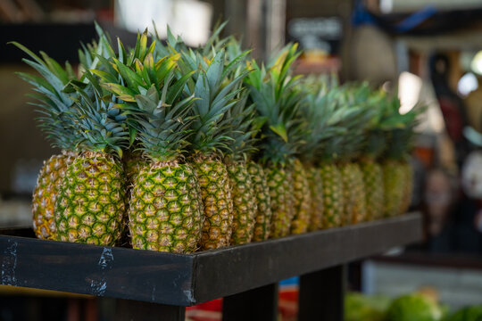 Fresh, whole, ripe pineapples stand in a row on a wooden retail shelf. Exotic tropical fruit, food, and a healthy farmers' market harvest.