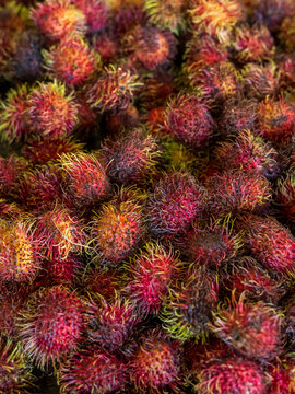 Ripe whole rambutan fruits with red spiky shells lie in a dense pile. Raw organic exotic food and a fresh tropical agricultural harvest.