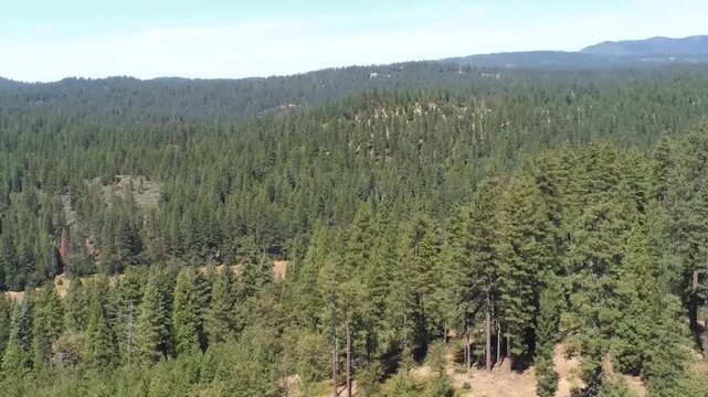 Aerial View of the Stanislaus National Forest