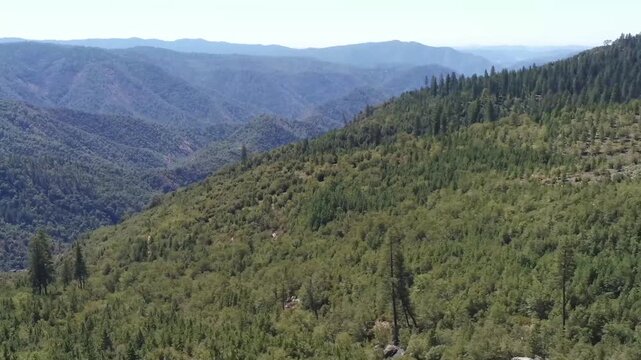 Aerial View of the Stanislaus National Forest