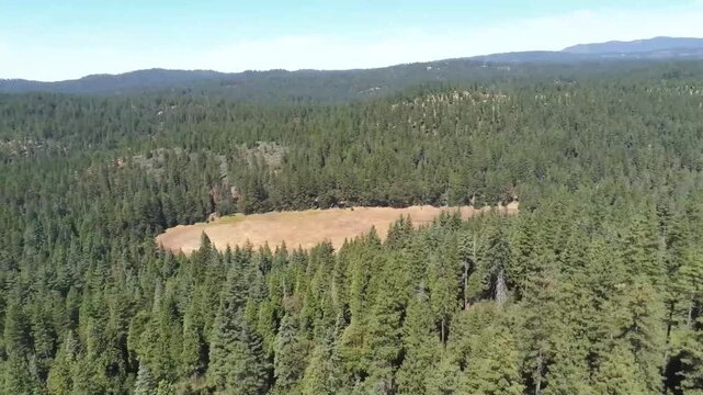 Aerial View of the Stanislaus National Forest