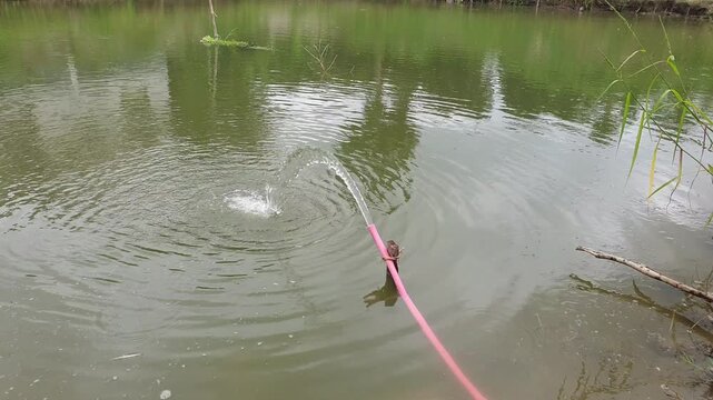 Water pumping into a fish pond with a hose pipe outdoors in daylight. Pumping freshwater to increase oxygen supply for commercial aquaculture and fish farming.