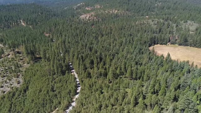 Aerial View of Road Winding Through Stanislaus National Forest