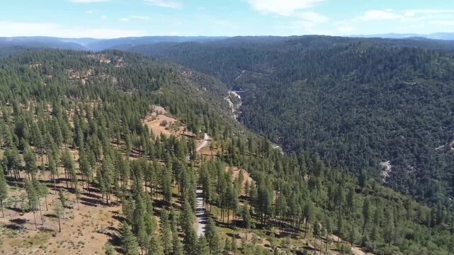 Aerial View of Road Winding Through Stanislaus National Forest