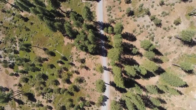 Aerial View of Road Winding Through Stanislaus National Forest