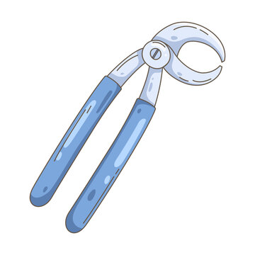 Hand drawn illustration of a medical dental tool, used for professional tooth extraction in dentistry clinics.