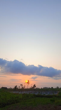 Tropical Sunset with Palm Tree Silhouette in Indonesia
