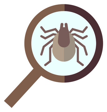 Insect in magnifying glass color icon. Pest control