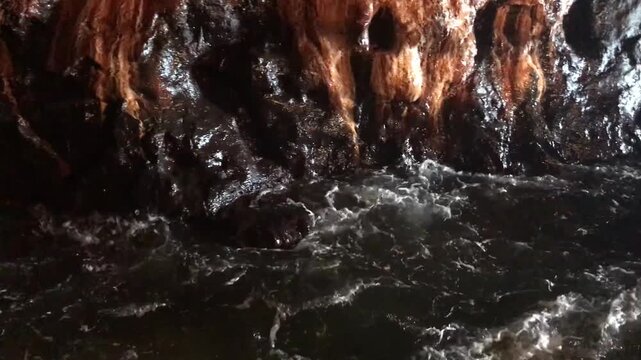 洞窟、苔むした倒木と暗い岩間を流れる水