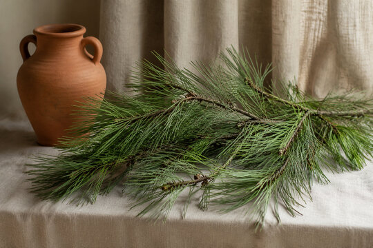 Longleaf pine branches with terracotta urn on linen cloth, natural decor concept