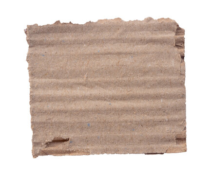 torn cardboard paper pieces isolated on white background