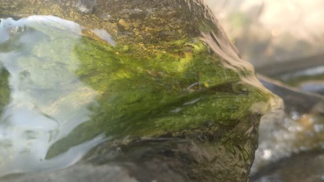 acro shot of clean natural spring water splashing and flowing.