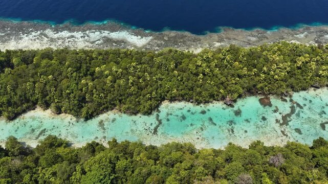 A healthy coral reef fringes a remote island in the Derawan Archipelago off the coast of East Kalimantan, Indonesia. This area harbors high marine biodiversity and is a popular vacation destination.