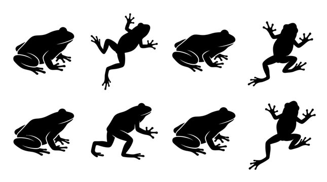 Set of black frog silhouettes in various jumping and sitting poses on white background for design and illustration