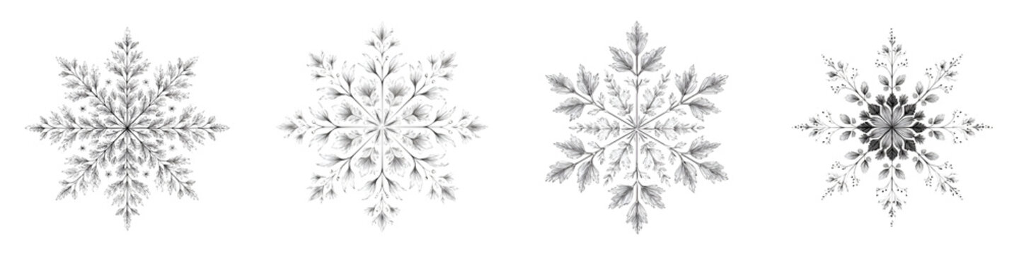 Detailed Snowflake Designs: Winter Patterns on White