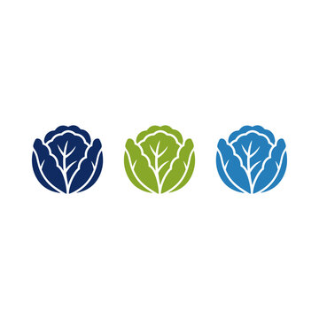 Three stylized cabbage icons in blue green and light blue colors on white background.