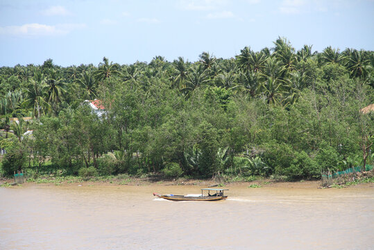 A traditional boat navigating on a muddy river through lush green mangrove forests in the Mekong Delta, Vietnam