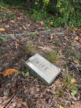 NC Cornelius Kinship Marker Wife 2026