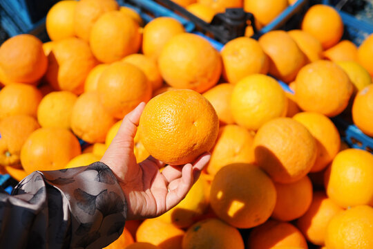 Hand holding an orange among many more oranges in a market