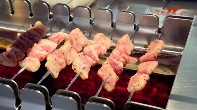 Automatic Rotating Skewers Grilling Meat on Hot Charcoal Grill