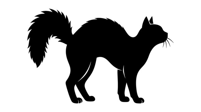 Black silhouette of a scared cat with arched back and fluffy tail isolated on white background