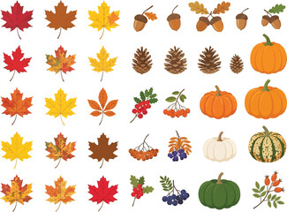 Fototapeta premium Collection of colorful autumn leaves pumpkins acorns and berries.