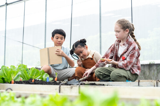 Three schoolchildren study carrots and lettuce in greenhouse as one girl uses magnifying glass, boy holds notebook and classmate works soil, combining science observation, teamwork, gardening.