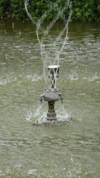Ornamental Fountain Spraying Water in a Park Pond