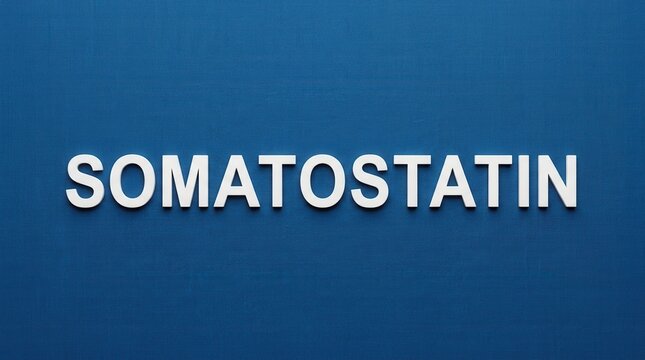 Somatostatin Medical Term White Letters On Blue Background