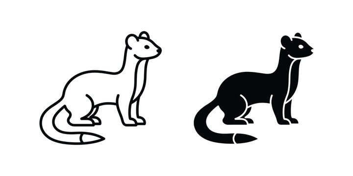Stoat animal vector illustration featuring silhouette and outline icon