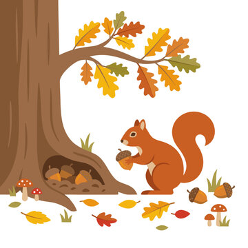 Cute red squirrel holding an acorn near a hollow oak tree trunk storing nuts for winter vector illustration. Autumn forest scene with falling oak leaves and mushrooms isolated on white background.