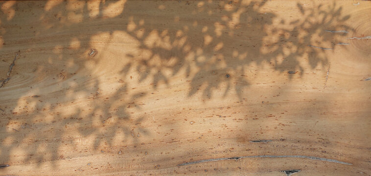 natural wood grain texture surface overlaid with soft, blurred shadows of tree branches and leaves.