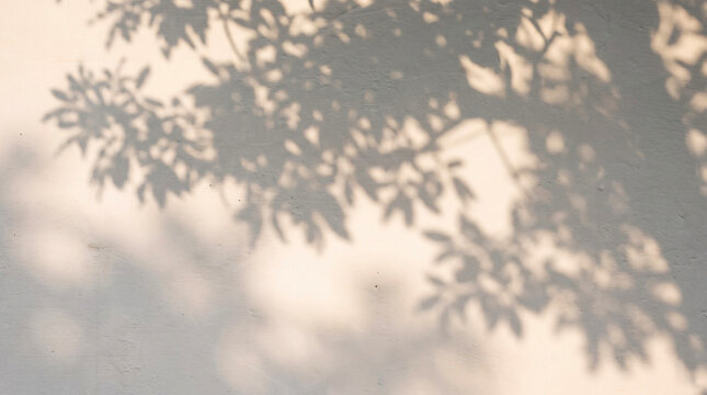 wall background showing natural, soft silhouettes and shadows of tree foliage.