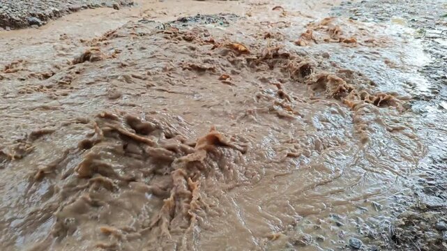 Muddy Edges and Puddles of Dirty Water Along Dirt Ravine Channel