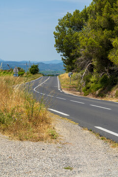 A quiet two-lane road bends through dry wildflower meadows with a road sign and pine tree along the shoulder. Rolling farmland and faint blue mountains complete this peaceful rural summer landscape