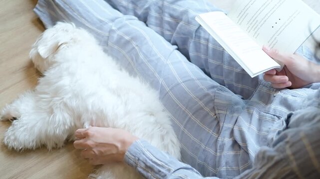 White Maltese dog resting beside a woman in striped pajamas at home, capturing a cozy weekend moment of relaxation, companionship, and happy indoor lifestyle.