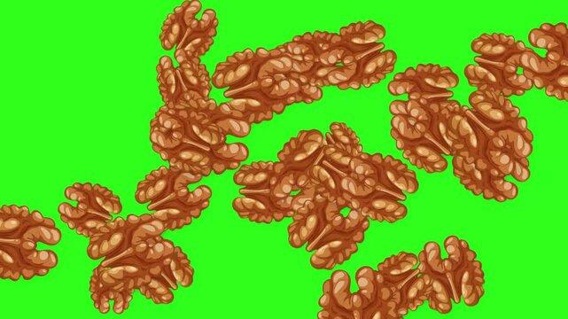 Shelled Walnut Halves Falling and Floating on Green Screen Background