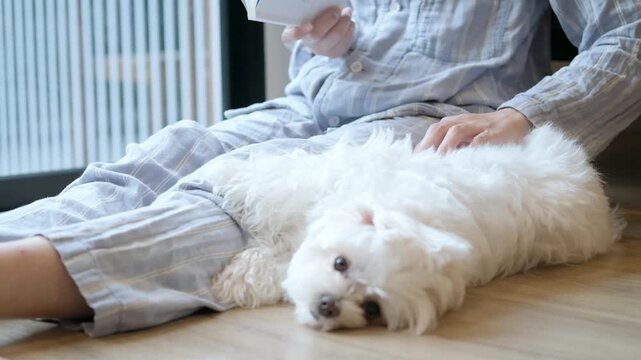 Young woman reading a book on the floor at home while gently petting a white Maltese dog, showing a calm weekend routine, cozy leisure, and joyful companionship.