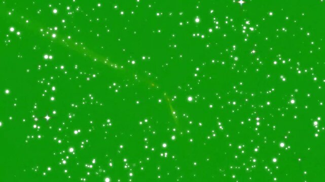 Glitter sparkle stars twinkling animation with white glow shine particles, golden light rays overlay effect on green screen, fairy dust glitter trail burst motion graphics assets. 4k