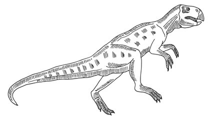 Jurassic animal sketch. Hand drawn dinosaur character © ONYXprj