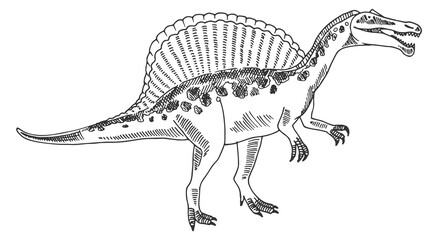 Spinosaurus dinosaur sketch. Prehistoric reptile animal drawing © ONYXprj