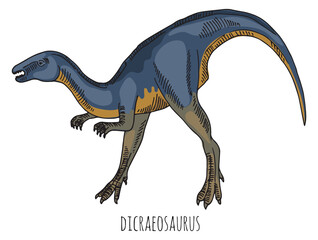 Dicraeosaurus color sketch. Ancient reptile. Dinosaur color drawing © ONYXprj