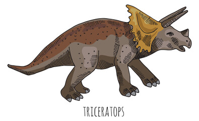 Triceratops color drawing. Hand drawn dinosaur animal © ONYXprj