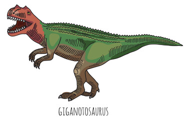 Giganotosaurus drawing. Ancient animal. Prehistoric wild predator © ONYXprj