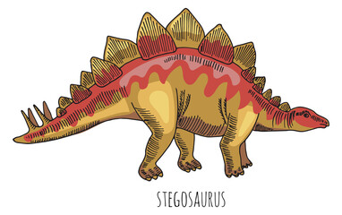 Stegosaur dinosaur color drawing. Wild ancient herbivore © ONYXprj
