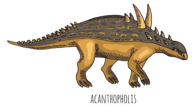 Ankylosaur color drawing. Prehistoric animal. Jurassic reptile