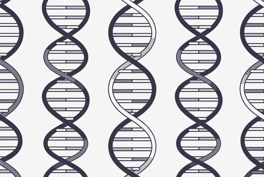 Modern scientific seamless pattern depicting grey and dark blue DNA double helix structures on a white background.