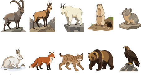 Obraz premium Mountain Wildlife Collection Vector Illustration in Natural Habitats