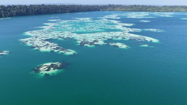 Calcareous algae and white sand forms abstract patterns in Kakaban Lake amid the Derawan Islands, Indonesia. This marine lake, surrounded by limestone, harbors four species of harmless jellyfish.